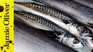 How to Fillet Sardines  Jamie Oliver [upl. by Ayanad]