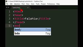 How to create basic webpage with Sublime Text3 [upl. by Nessah459]