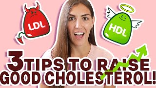 How to Raise HDL Cholesterol NATURALLY 3 EASY STEPS [upl. by Gastineau]