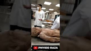 MBBS Students With Dead Body 🙄 Dissection Hall  Medical College  Physio Raza [upl. by Ruvolo]