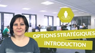 Les options stratégiques  introduction  Management  digiSchool [upl. by Senga438]