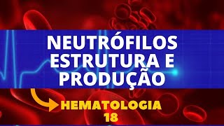 NEUTRÓFILOS ESTRUTURA E PRODUÇÃO  HEMATOLOGIA  AULA 18 [upl. by Rigby]