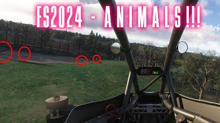 Finding ANIMALS in MSFS2024 [upl. by Neehar]