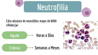 Neutrofilia y Leucemia Mieloide Crónica [upl. by Nnav132]