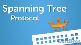 Spanning Tree Protocol Explained  Step by Step [upl. by Aicnerolf]