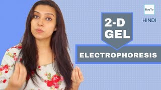 Two Dimensional 2D GEL Electrophoresis  Principle  Hindi [upl. by Natala127]