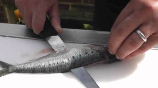 Passionate About Fish  How to prepare Sardines [upl. by Carlyle289]