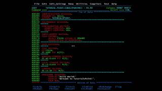 COBOL  Program Structure [upl. by Soni]