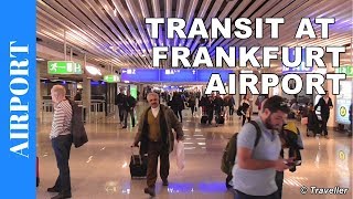 TRANSIT WALK AT FRANKFURT Airport FRA Terminal 1  Connection Flight Transfer Arriving amp Departing [upl. by Leveridge314]